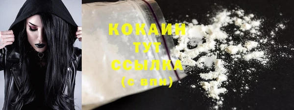 ECSTASY Дмитриев