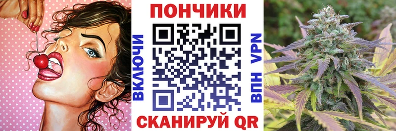 закладка  Вяземский  Конопля семена 